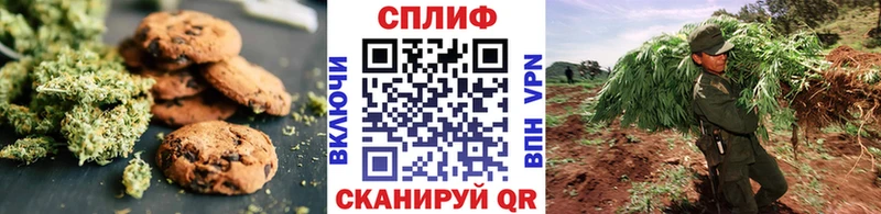 купить  сайты  Заозёрск  Canna-Cookies марихуана 