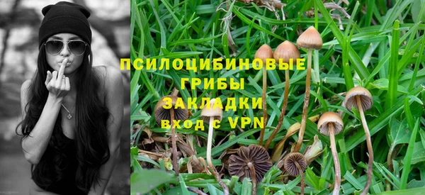 амф Рославль