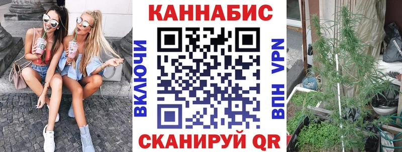 МАРИХУАНА сатива  как найти   Заозёрск 